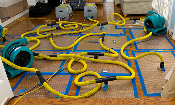 Professional Flood Damage Restoration technician working in Plattsmouth, NE